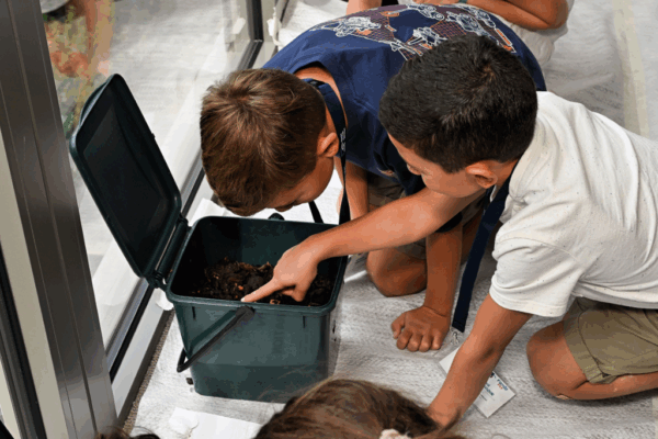 Atelier Permaculture Family Day - Issy Les Moulineaux