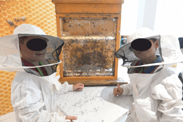 atelier apiculture family day- La Defense Paris